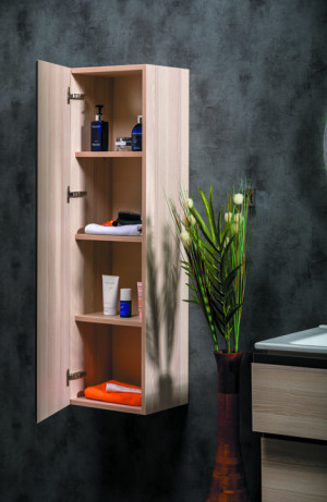 Пенал CAPOLDA light wood
